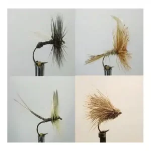 Kit Moscas Dragon Dry Flies Secas