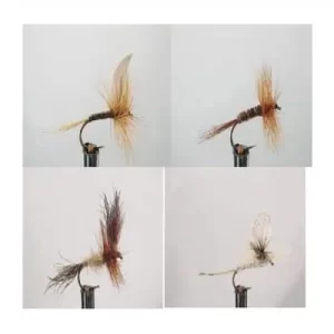 Kit Moscas Dragon Dry Flies Secas